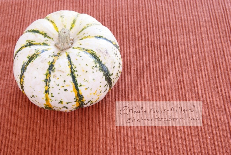 Stock Photo: White pumpkin - by Kathy Burns-Millyard