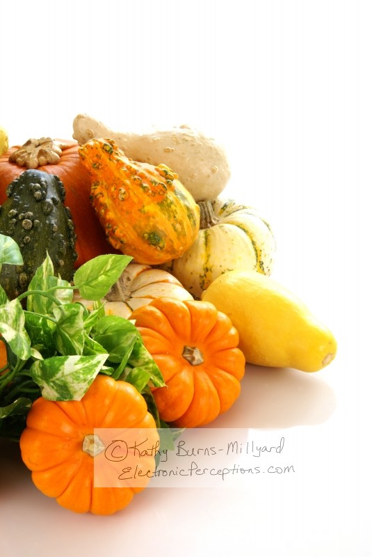 Stock Photo: Autumn Harvest - by Kathy Burns-Millyard