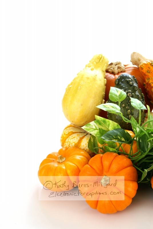 Stock Photo: Autumn Harvest - by Kathy Burns-Millyard