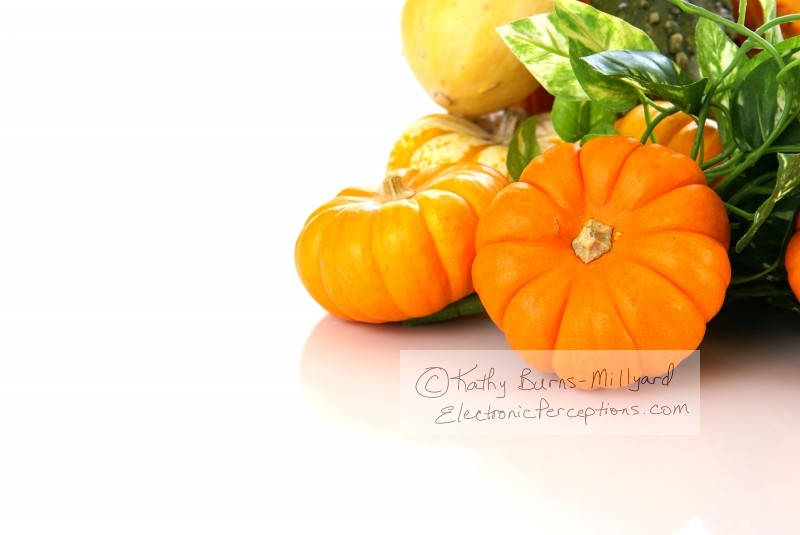 Stock Photo: Autumn Harvest - by Kathy Burns-Millyard