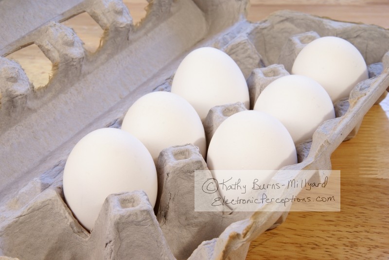 Stock Photo: Eggs - by Kathy Burns-Millyard