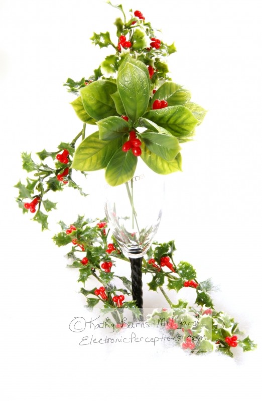 Stock Photo: Christmas Holly - by Kathy Burns-Millyard