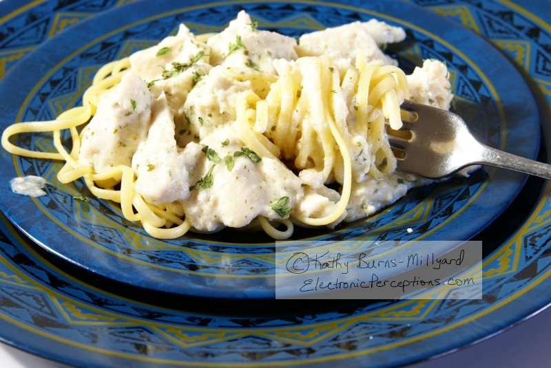 Stock Photo: Chicken Alfredo - by Kathy Burns-Millyard